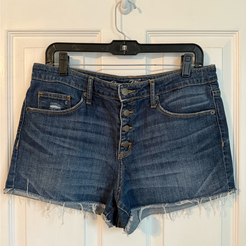 Universal Thread Dark Blue Jean Shorts